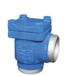 Check valves